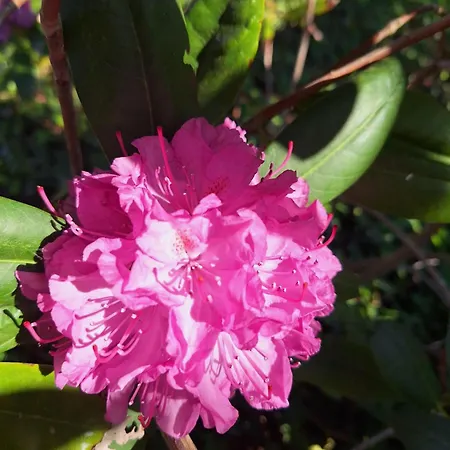 Casa de Férias Am Stroth *