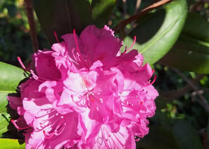 Semesterbostad Am Stroth *